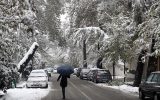 جلگه گیلان سفیدپوش میشود جلگه گیلان سفیدپوش میشود