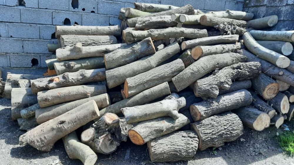 کشف 8 تن چوب جنگلی قاچاق در رودسر