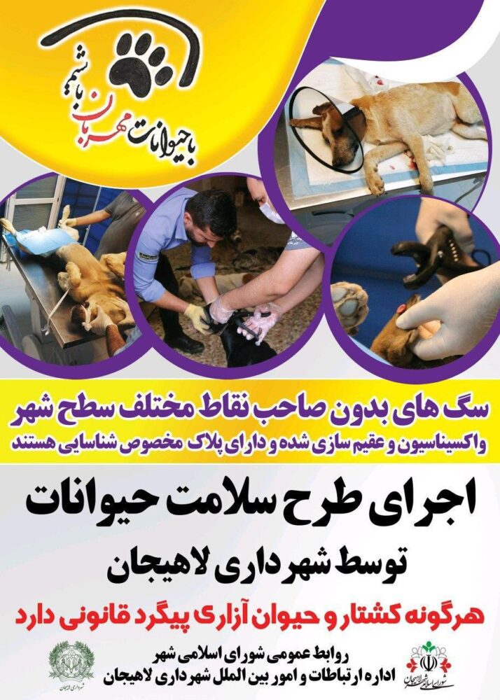 طرح سلامت حیوانات توسط شهرداری لاهیجان اجرا می شود