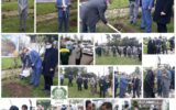مراسم روز درختکاری در باغ نارنج لاهیجان برگزار شد مراسم روز درختکاری در باغ نارنج لاهیجان برگزار شد