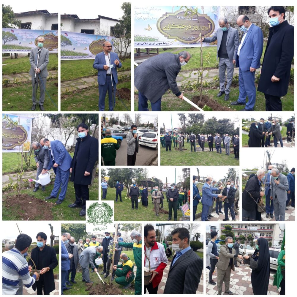 مراسم روز درختکاری در باغ نارنج لاهیجان برگزار شد