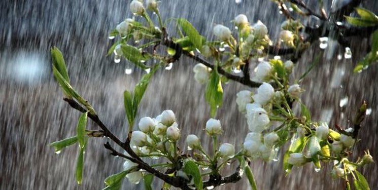 ادامه بارش باران در روز‌های پایانی سال ۱۴۰۰ در گیلان بارش باران در مناطق جلگه‌ای و برف در مناطق کوهستانی تا پایان هفته آینده به تناوب ادامه دارد.