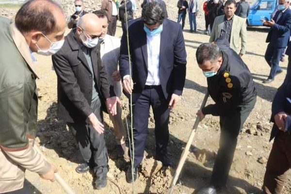 شهرداری لاهیجان