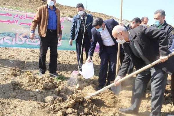 شهرداری لاهیجان