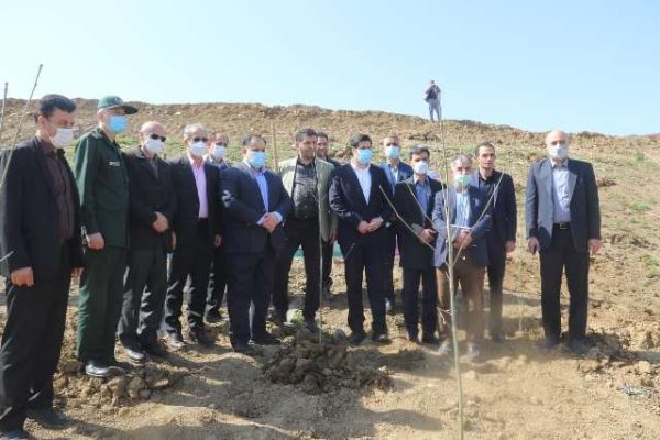 شهرداری لاهیجان