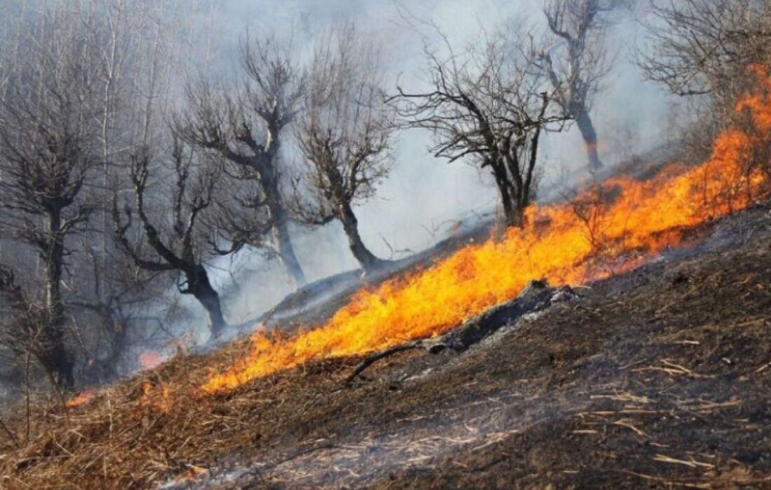 آتش سوزی نزدیک به ۲ هکتار از مناطق جنگلی گیلان