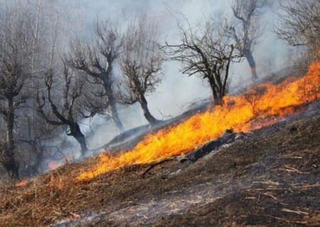 آتش سوزی نزدیک به ۲ هکتار از مناطق جنگلی گیلان