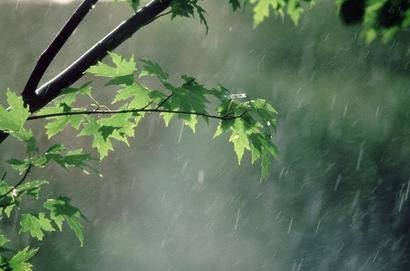 بارش باران در گیلان از فردا ششمین روز فروردین ۱۴۰۲