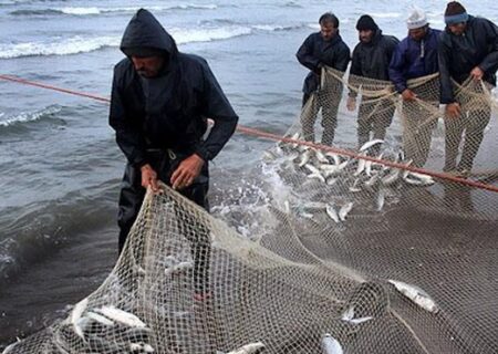 افزایش ۵۰ درصدی صید ماهیان استخوانی در گیلان