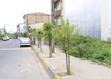کاشت ۶۰ درخت نارنج در خیابان شیخ زاهد‌