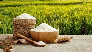 ممنوعیت واردات برنج به مدت ۴ ماه