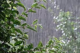 بارش باران تابستانی به مدت ۲ روز در گیلان
