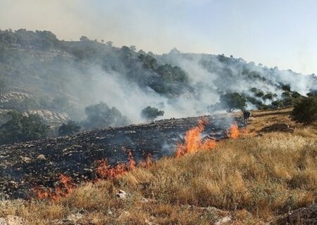 خطر آتش سوزی در عرصه‌های طبیعی گیلان
