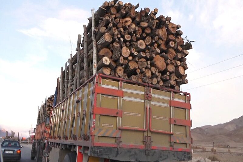 ۲۴ تن چوب قاچاق در غرب گیلان کشف شد.