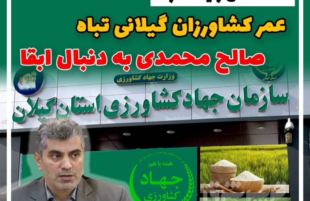 عمر کشاورزان گیلانی تباه، صالح محمدی به دنبال ابقا