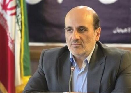 اشتغال ۴۸ درصد خانوارهای لاهیجان وابسته به شالیزارهاست