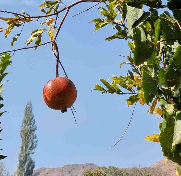 روستای انبوه در میان انبوهی از مشکلات