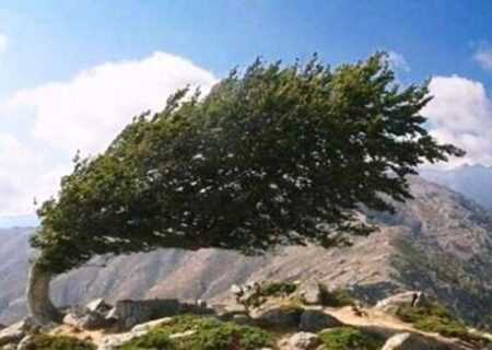 هشدار نارنجی هواشناسی برای وزش باد گرم شدید در گیلان/ دما تا ۱۵ درجه افزایش پیدا می‌کند