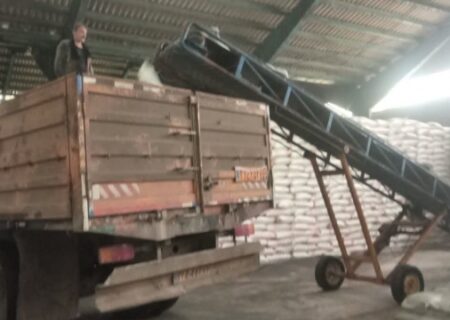 توزیع ۲۲ هزار حواله کود در شهرستان لاهیجان