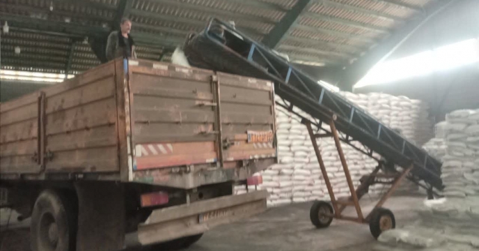 توزیع ۲۲ هزار حواله کود در شهرستان لاهیجان