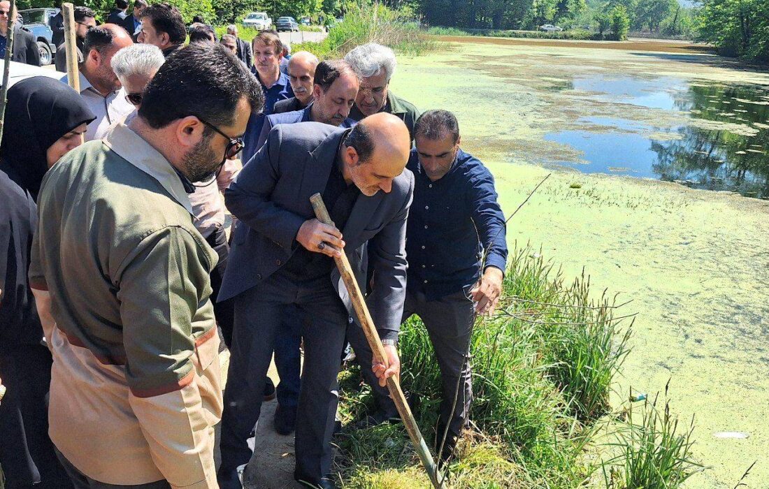 تداوم نهالکاری با مشارکت مردمی، راهبرد اصلی حفاظت از گیلان سرسبز است