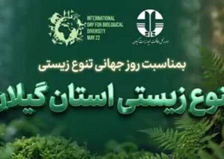 ویدیویی ناب و کمتر دیده شده از تنوع زیستی استان گیلان