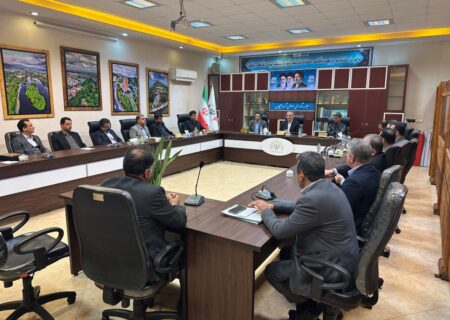 شهردار و کارکنان شهرداری لاهیجان از تلاش های اعضای شورا قدردانی کردند
